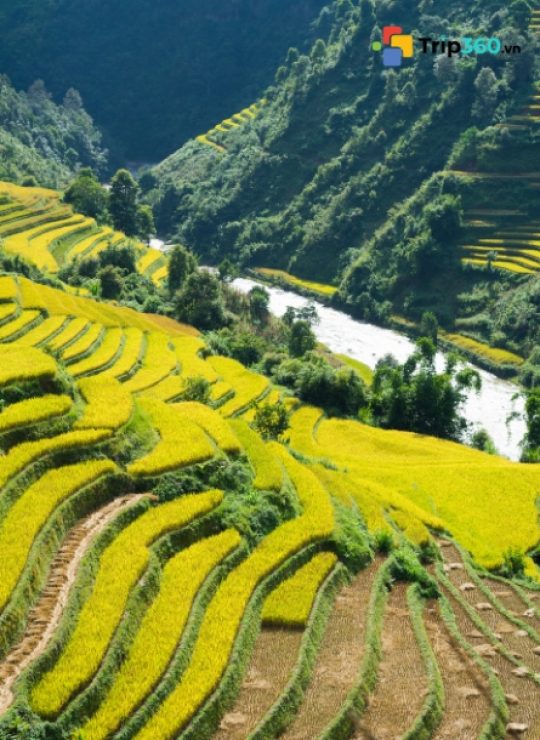 Lào Cai