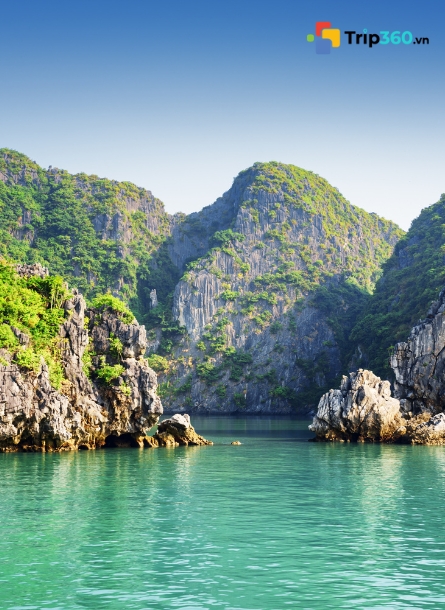 Quảng Ninh