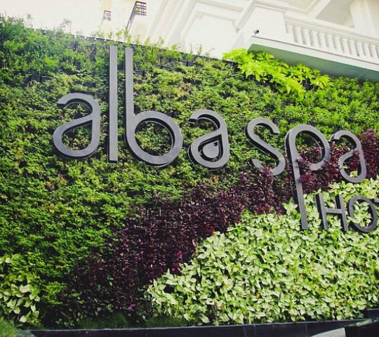 Alba Spa Hotel